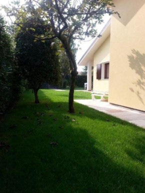 Faggio 15a Albarella Isola